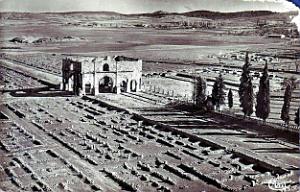 ALGERIE-RUINES ROMAINES DE LAMBESE (7)